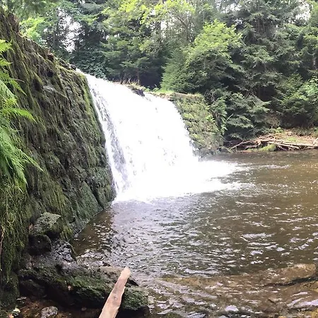 Dom Nad Kwisa 公寓 Świeradów-Zdrój