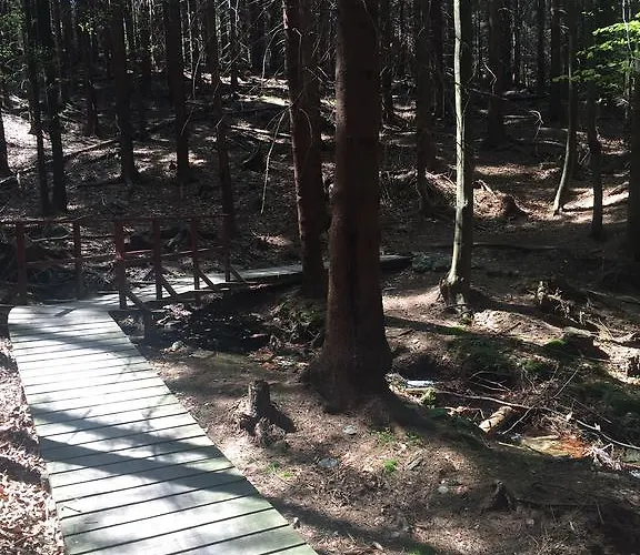 Dom Nad Kwisa 公寓