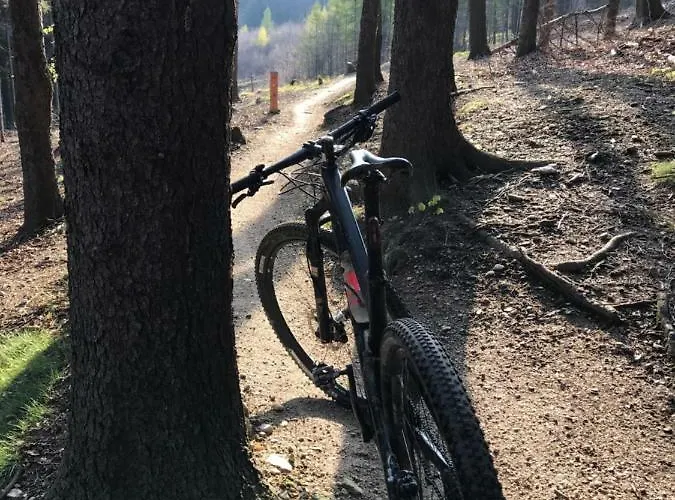 Apartamento Dom Nad Kwisa Świeradów-Zdrój